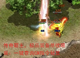 Ʒװ۵ףһѯGMָ