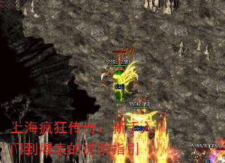 Ϻ棺ŵĽָ