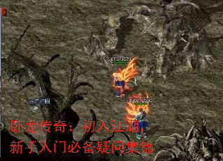 棺뽭űرʼ
