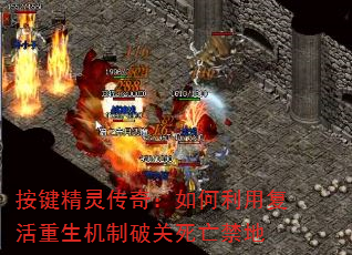 鴫棺øƹ