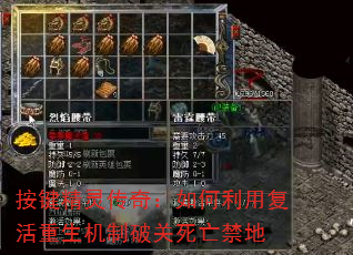 鴫棺øƹ