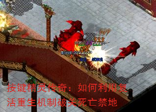鴫棺øƹ