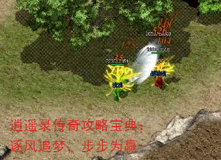 ң¼湥Ա䣺׷ΣΪӮ