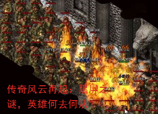 𣺺֮գӢۺȥδӣ
