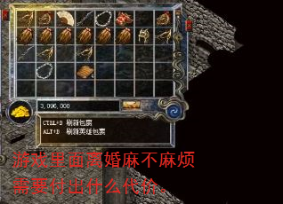 Ϸ鲻鷳Ҫʲôۡ