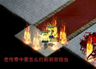 ڴҪôаǯ