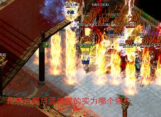 ˽޵ʵĸǿ