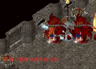 ʯĹ