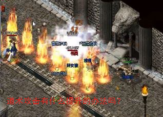 ʲôİ취