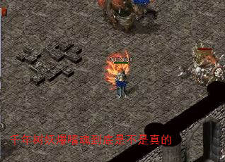 ǧȻ굽ǲ