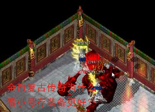 ҸŴΪʲôСŴװã