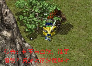 棺Ѫ˭ֵǮȽ
