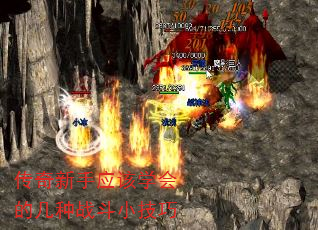 ӦѧļսС