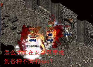 ôڰȫҵֲͬnpc