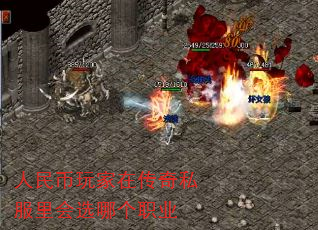 ڴ˽ѡĸְҵ