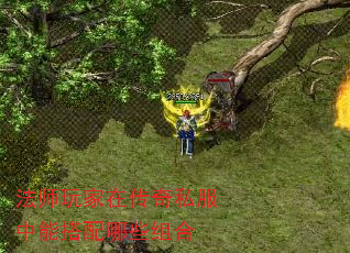ʦڴ˽ܴЩ