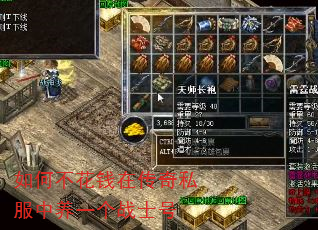 βǮڴ˽һսʿ