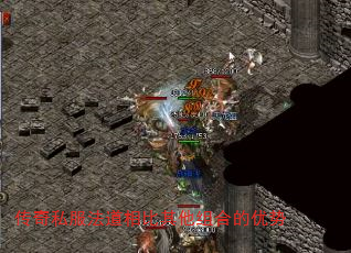 ˽ϵ