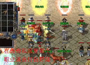 ڴ˽ĸְҵʺϴҰ