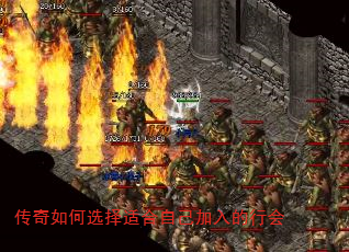 ѡʺԼл