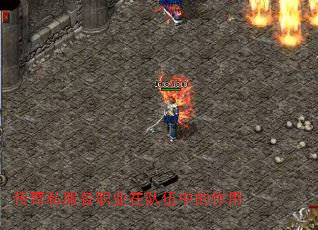 ˽ְҵڶе