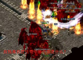 ²жҩڴеʲô
