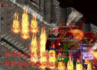 ޴ٻ۲ͻƿ