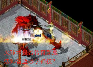 Ƿ·ʦʡѧ񼼣