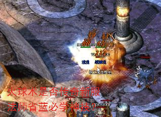 Ƿ·ʦʡѧ񼼣