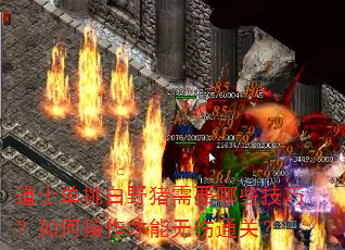 ʿҰҪЩɣβͨأ