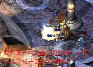 ԷѪ˽οռBOSS