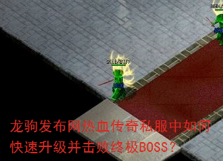 ԷѪ˽οռBOSS