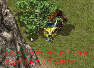 ԷѪ˽οռBOSS