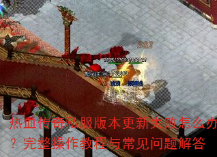 Ѫ˽汾ʧô죿̳볣