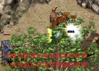 ħͨغλȡϷǿ