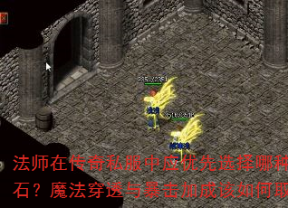 ʦڴ˽ӦѡԱʯħ͸뱩ӳɸȡ᣿