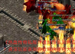 Ѫ˽IPӦԣײЧɴ󹫿