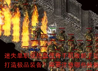 ʧְҵѪֻο켫ƷװҪעЩϼɣ