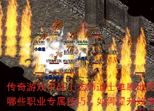 ϷսʿʦʿˢͼʱЩְҵרɣЧʣ