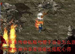 °汾˽װôѡǿĵ