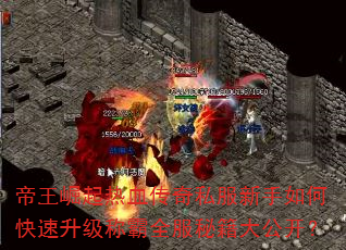 Ѫ˽οưȫؼ󹫿