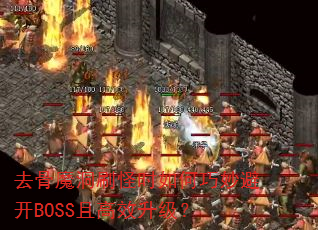 ȥħˢʱܿBOSSҸЧ