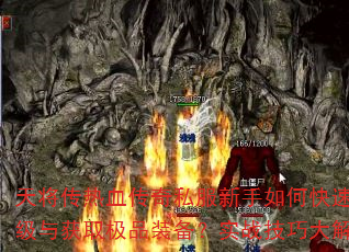 콫Ѫ˽οȡƷװʵսɴ