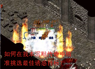 ұĬо׼ѡջĿꣿ