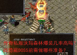 ˽ɭֱװʸսBOSSǰЩ׼