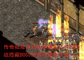 ˽ɭֱװʸսBOSSǰЩ׼