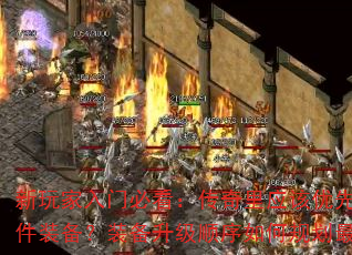 űؿӦǿļװװ˳ι滮
