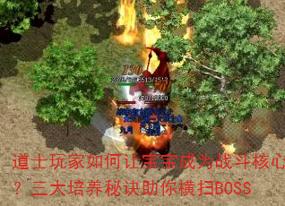 ʿñΪսģؾɨBOSS