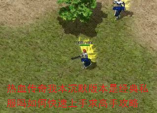 ѪұĬ汾Ǿ˽οֹ