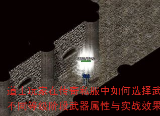 ʿڴ˽ѡͬȼ׶ʵսЧ